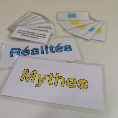 Game: Myths and Realities of the owl